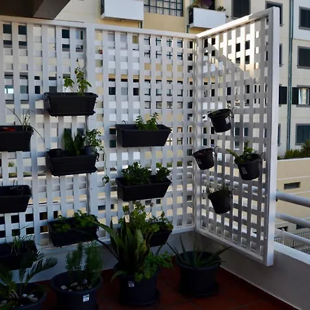 Apartamento Ocean View Ii Funchal (Madeira)